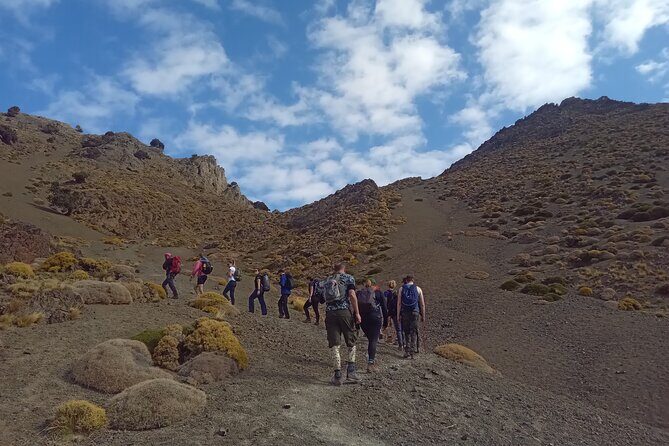 Hiking and summiting the Atlas Mountains day trip from Marrakech - Key Points