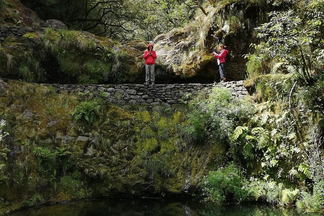 hiking-and-trekking-tours-in-madeira