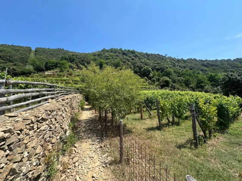 hiking-and-wine-tasting-experience-2