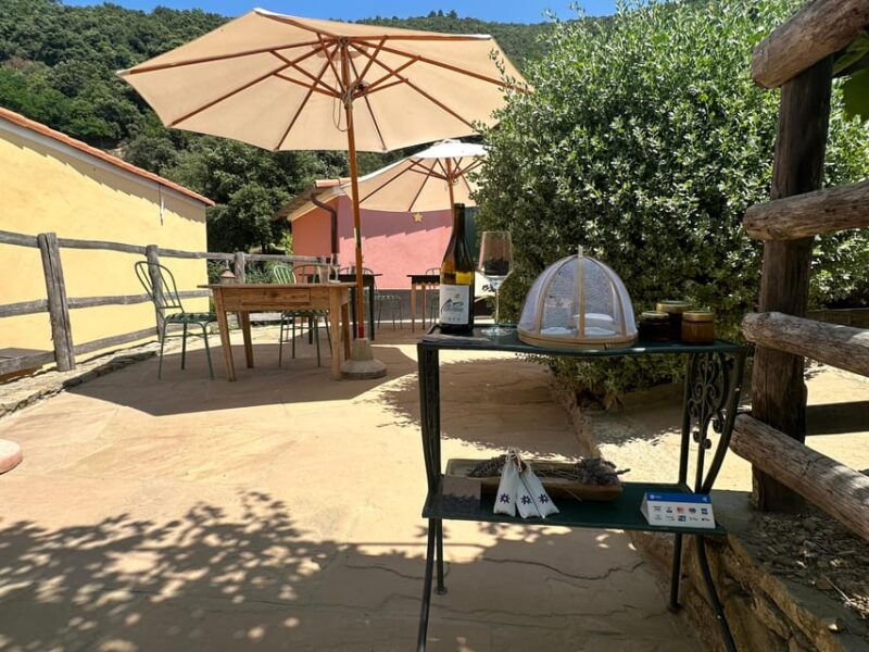 hiking-and-wine-tasting-experience-2