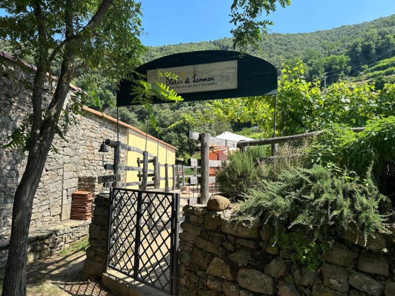 hiking-and-wine-tasting-experience-2