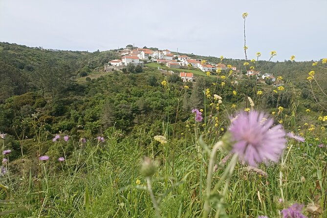 hiking-and-wine-tasting-experience