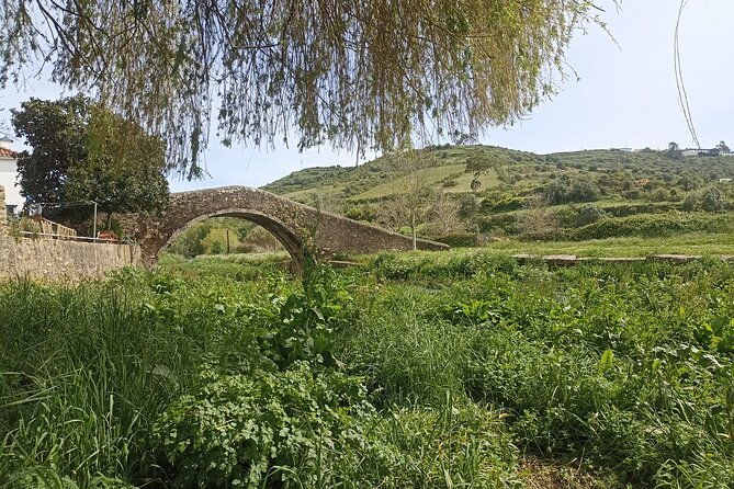 hiking-and-wine-tasting-experience