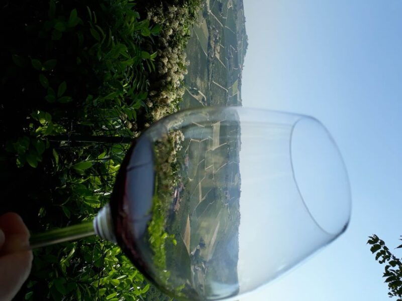 hiking-and-wine-tour-starting-from-alba-2