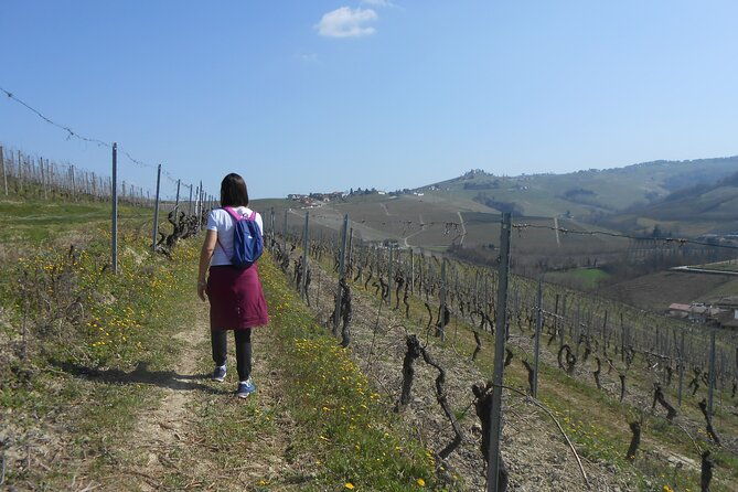 hiking-and-wine-tour-starting-from-alba