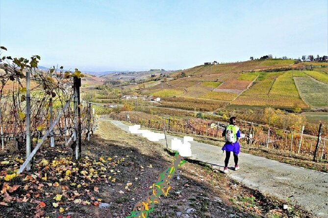 hiking-and-wine-tour-starting-from-alba