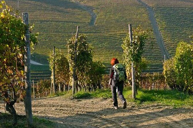 hiking-and-wine-tour-starting-from-alba