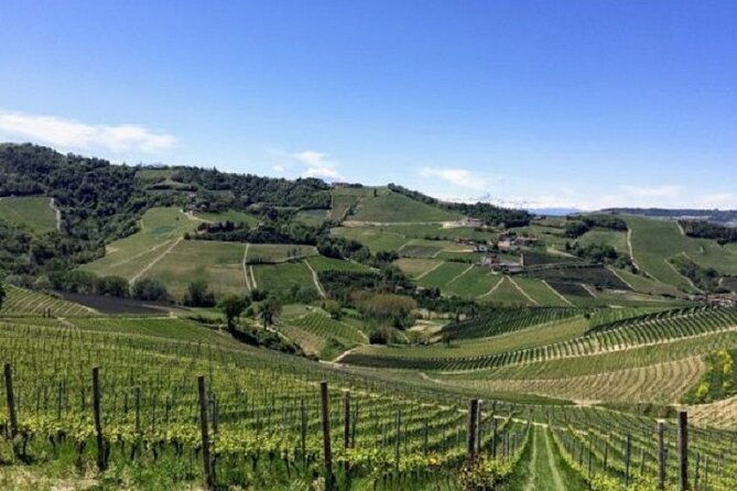 hiking-and-wine-tour-starting-from-alba