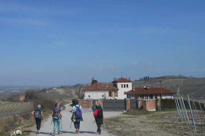 hiking-and-wine-tour-starting-from-alba
