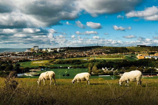 hiking-and-yoga-activity-in-brighton