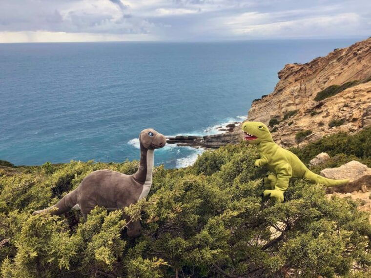 hiking-around-lisbon-jurassic-dinosaur-trails-of-espichel