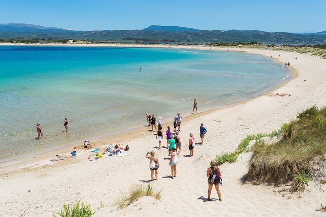 Hiking around Navarino Bay - Insights from Reviews: What Travelers Love