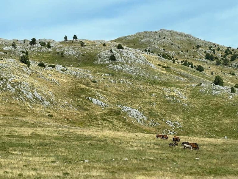 Hiking around Sarajevo: Lukomir Village Full Day Hiking Tour - An In-Depth Look at the Lukomir Village Hiking Tour