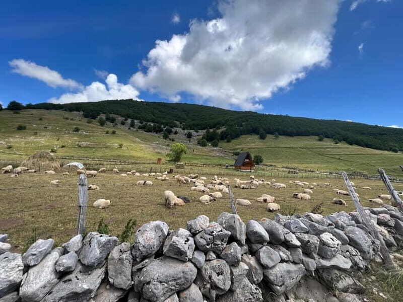 Hiking around Sarajevo: Lukomir Village Full Day Hiking Tour - The Sum Up