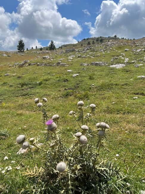 Hiking around Sarajevo: Lukomir Village Full Day Hiking Tour - FAQ