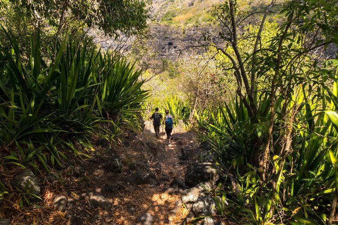 Hiking: Authentic immersion in Mafate - Practical Details and Value