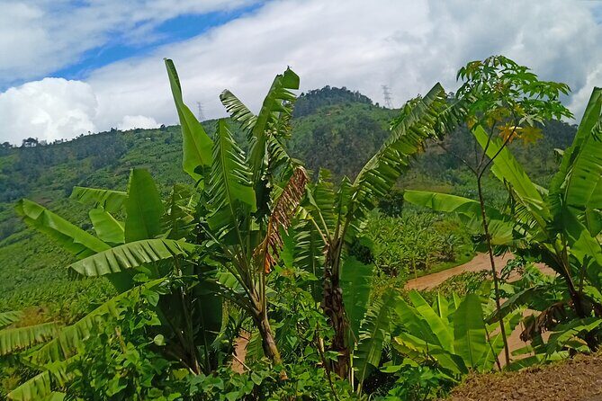 Hiking Binana Mountain & Waterfalls in Rwanda - An Honest Look at the Experience