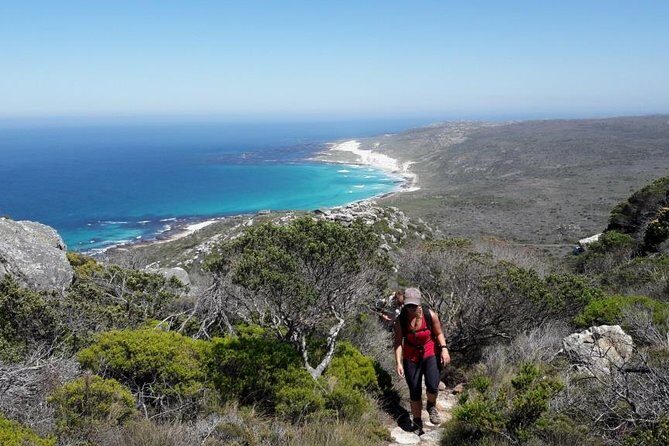 Hiking Cape of Good Hope & Cape Point Private Full Day Tour - First Impressions and Tour Overview