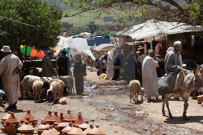 Hiking Day Tour in Atlas Mountains & Waterfalls' - Who Should Consider This Tour?