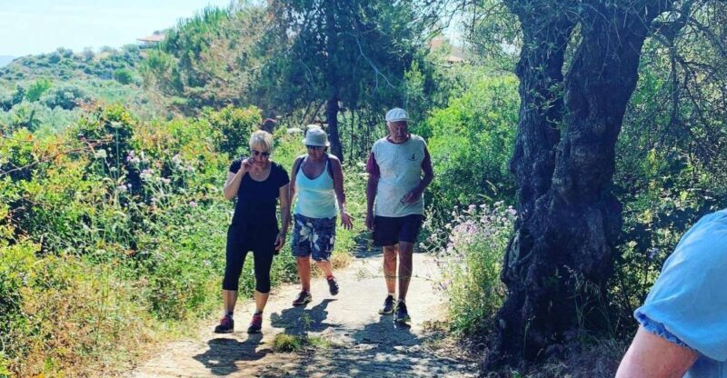 Hiking Day Tour to Triund from Dharamshala - Final Thoughts: Who Should Consider This Tour?