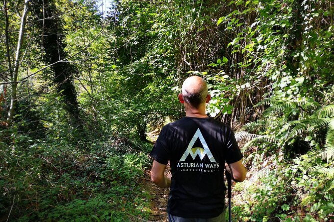 hiking-experience-in-asturias-from-gijon-or-oviedo