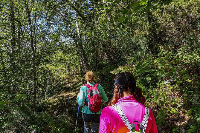 hiking-experience-in-asturias-from-gijon-or-oviedo