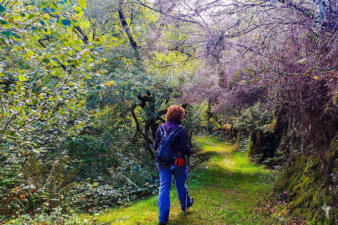 hiking-experience-in-asturias-from-gijon-or-oviedo