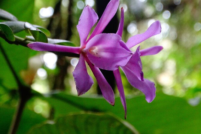 hiking-experience-in-el-quetzal-private-reserve