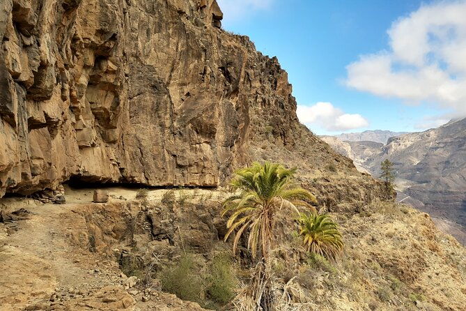 hiking-experience-in-the-north-of-gran-canaria