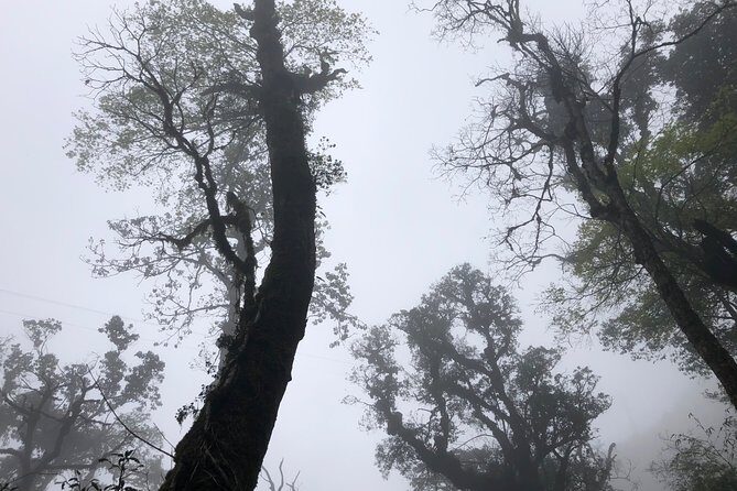 Hiking Fansipan in 1 day - Discovering Fansipan: The Highest Mountain in Vietnam