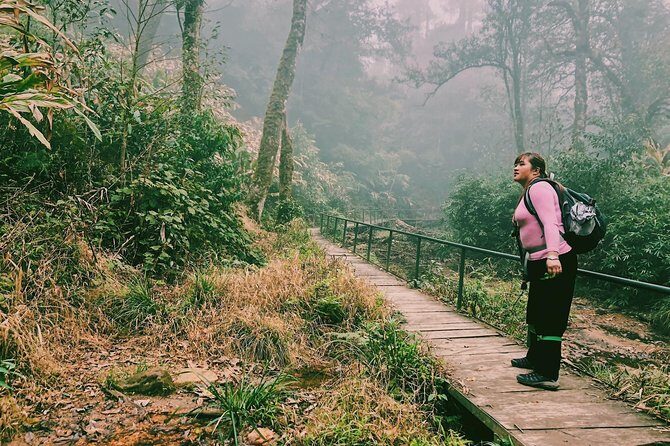 Hiking Fansipan in 1 day - What You Can Expect From the Experience