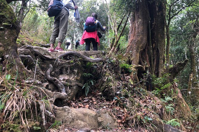 Hiking Fansipan in 1 day - Real Insights from Reviewers