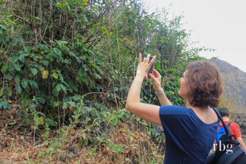 Hiking: From Serra Malagueta to Rabelados Community - Key Points