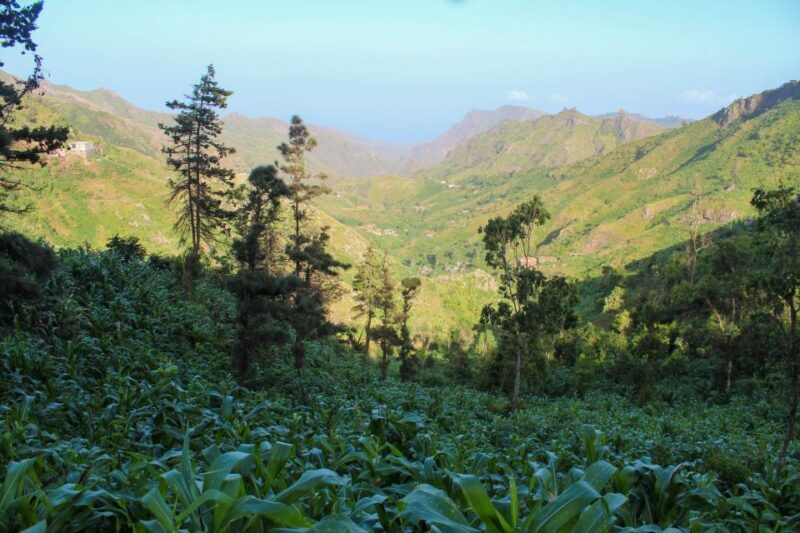 Hiking: From Serra Malagueta to Rabelados Community - The Experience: Why It Works