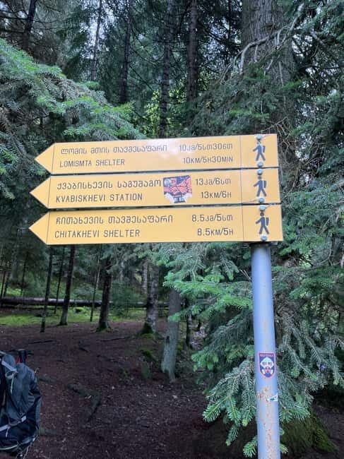 Hiking in Borjomi from Tbilisi - Why You Should Consider This Tour