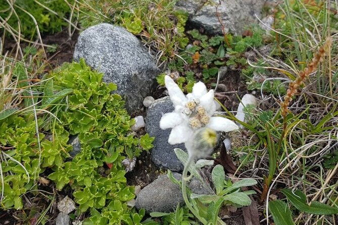 hiking-in-bucegi-mountains-in-the-carpathians-private-tour