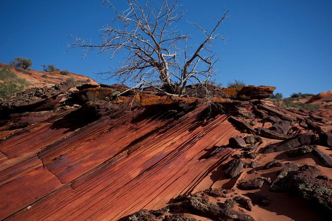 hiking-in-kanab-walk-and-photograph-the-incredible-wire-pass-slot-canyon