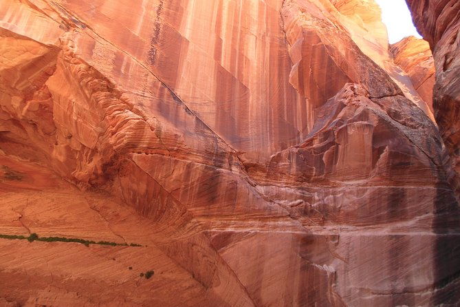 hiking-in-kanab-walk-and-photograph-the-incredible-wire-pass-slot-canyon