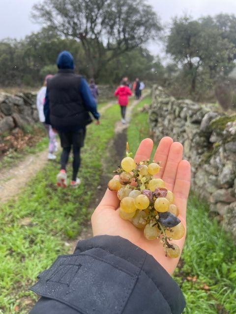hiking-in-nature-guided-paths-passing-through-marvao