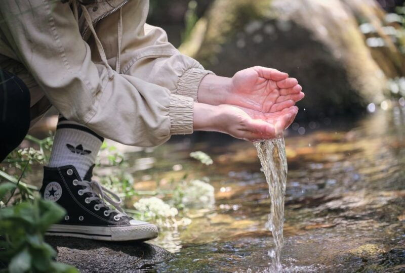 hiking-in-nature-guided-paths-passing-through-marvao
