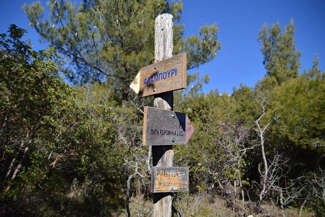 hiking-in-parnitha-national-park-from-athens-2