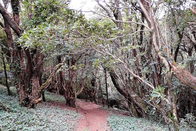 hiking-in-sintra-cascais-natural-park