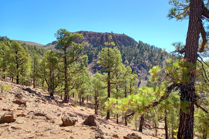Hiking in Tenerife's Great Outdoors - FAQs