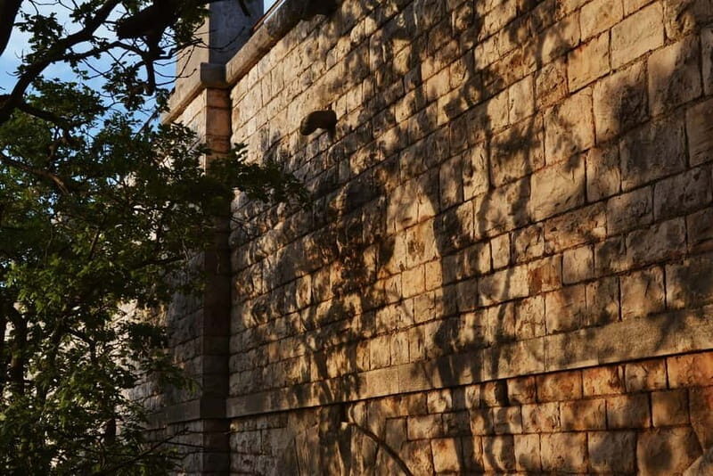 Hiking in the Alta Murgia National Park: the forest and the ancient farmhouse - Key Points