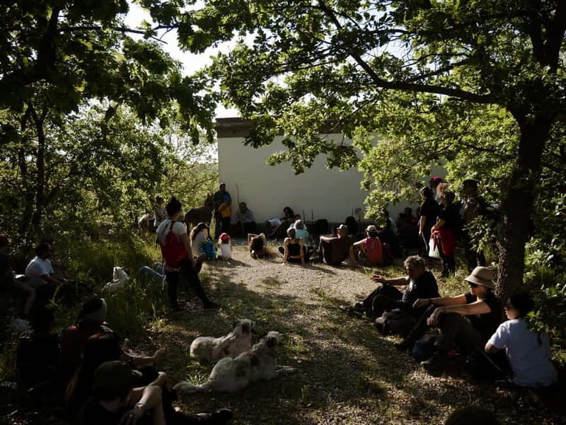 Hiking in the Alta Murgia National Park: the forest and the ancient farmhouse - Exploring the Forest and Its Surroundings