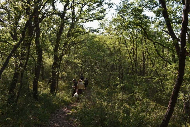 Hiking in the Alta Murgia National Park: the forest and the ancient farmhouse - Practical Details and Planning