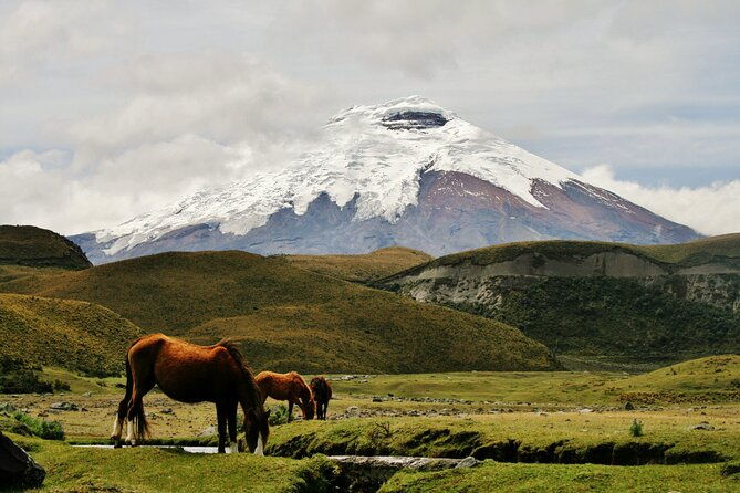 hiking-in-the-andes-the-avenue-of-volcanoes-6-days