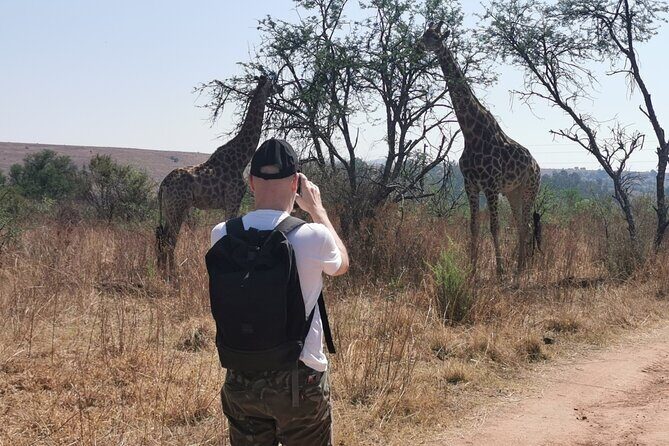 Hiking In the Magaliesberg,Wildlife hike an hour fromJohannesburg - Key Points