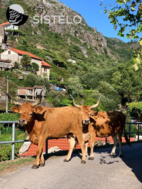 hiking-in-the-mini-tibet-of-portugal