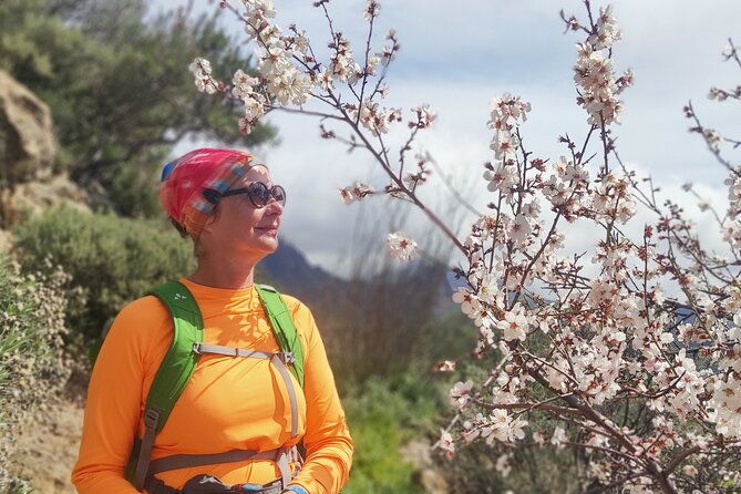 hiking-in-the-sacred-mountains-of-gran-canaria-unesco
